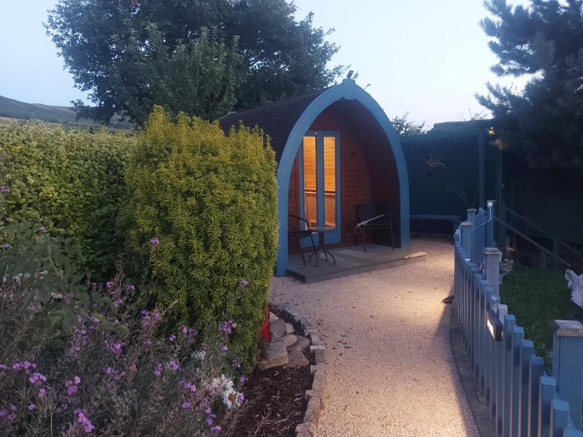 Glamping In The 2Nd Field Hotel Aughrim Exterior foto